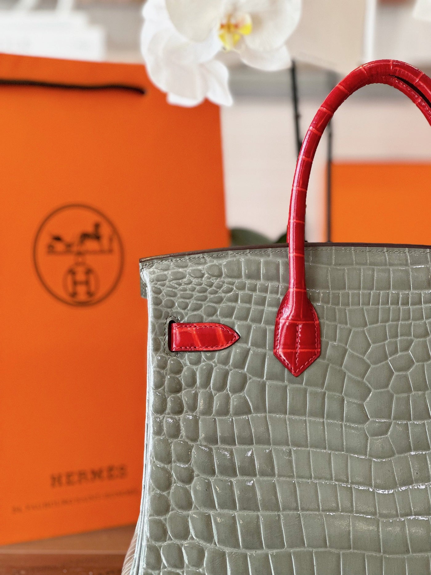 Herm*s birkin crocodile mix grey with red handle handbags woman’s 30cm - image 6